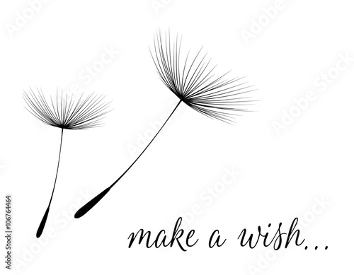 Make a wish card with dandelion fluff photo