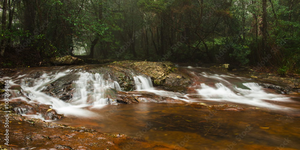 Fototapeta premium Goomoolahra creek at Springbrook National Park in Queensland.