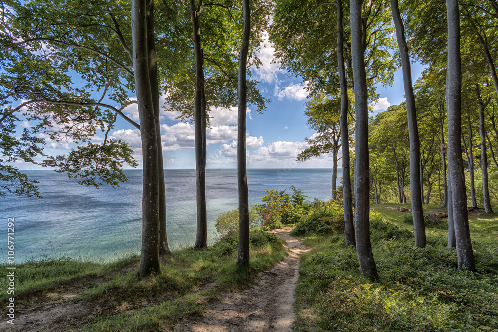 Wander im Nationalpark Jasmund auf der Insel Rügen Wander im Nationalpark Jasmund auf der Insel Rügen