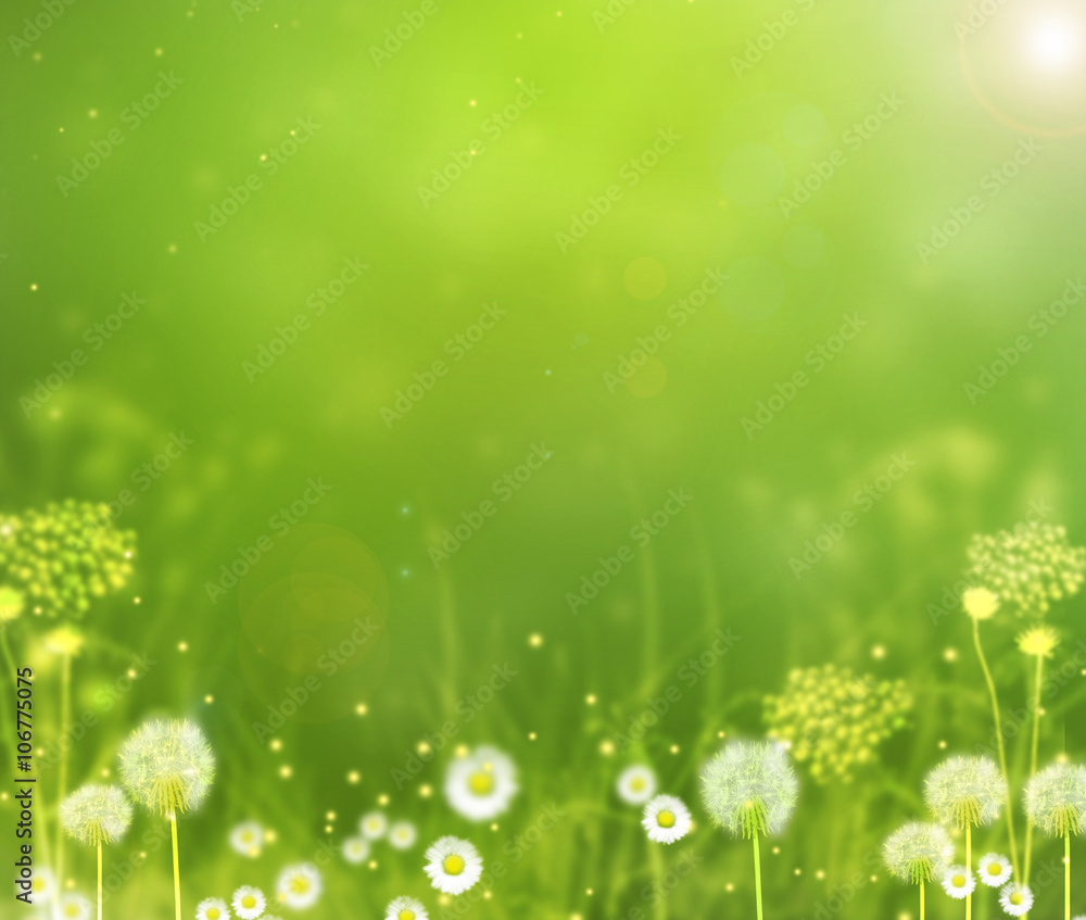 Summer sunny background with field flowers, plants and bokeh effect with stardust.