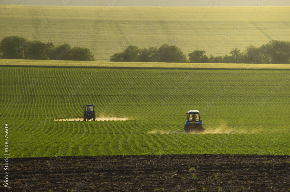 Naklejka premium Tractors sprayed cornfield