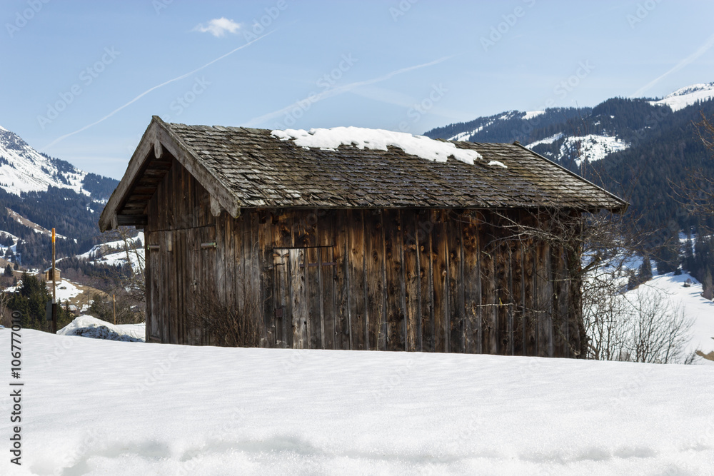  Hütte im Schigebiet Dienten am Hochkönig, Salzburg Urlaub