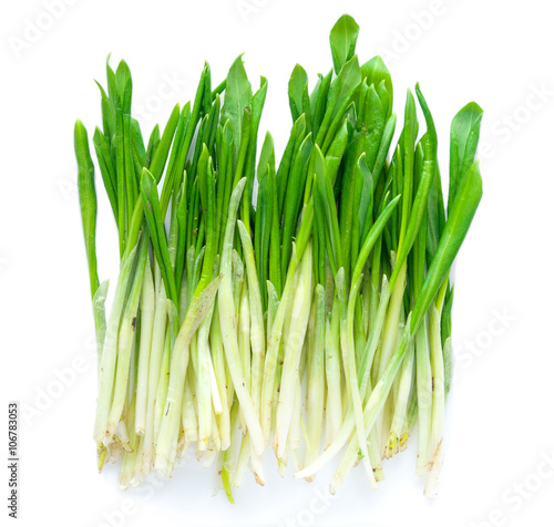 Ramson  wild garlic  on a white background