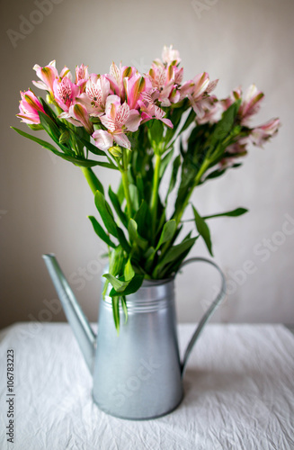 Beautiful alstroemeria on white background. Spring concept