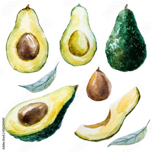 Watercolor avocado set