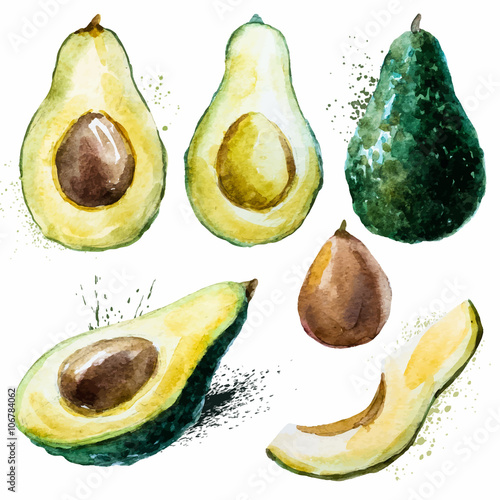 Watercolor avocado set