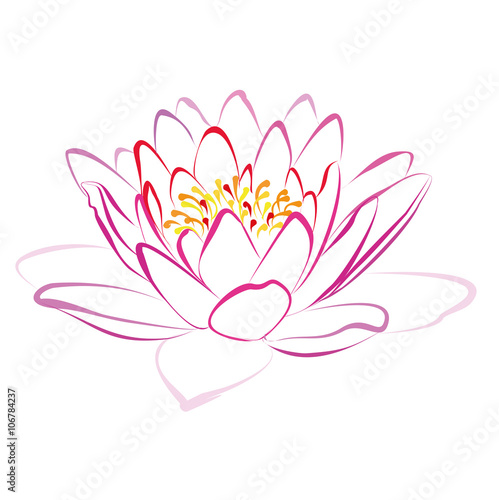 Lotus hand drawn vector illustration on white background