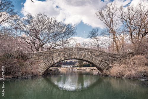 Gapstow bridge in early spring, Central Park, New York City