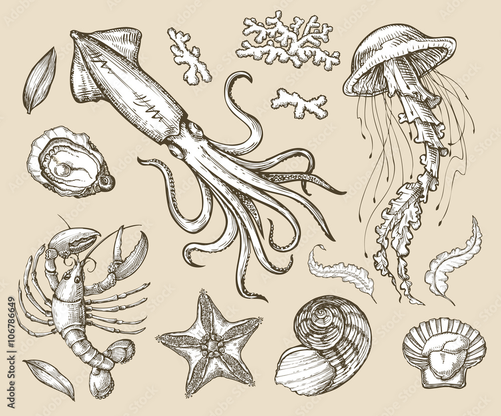 Naklejka premium Hand drawn sketch set seafood, sea animals. Vector illustration