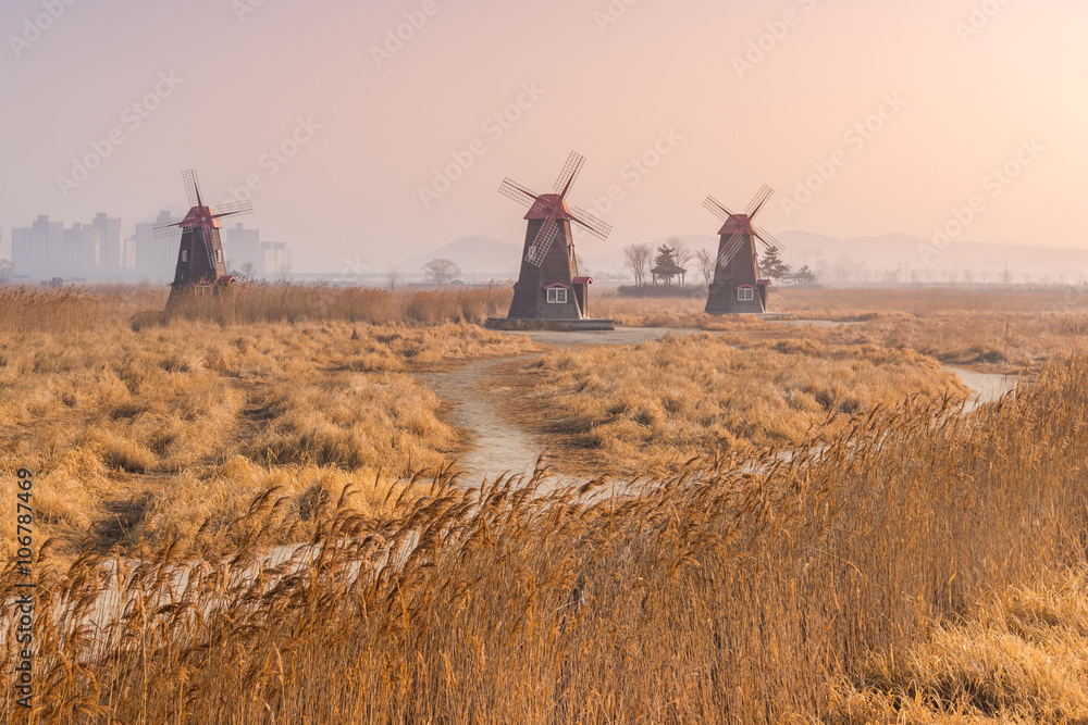 Fototapeta premium Sunrise at Old wooden windmills the field in the park,south kore