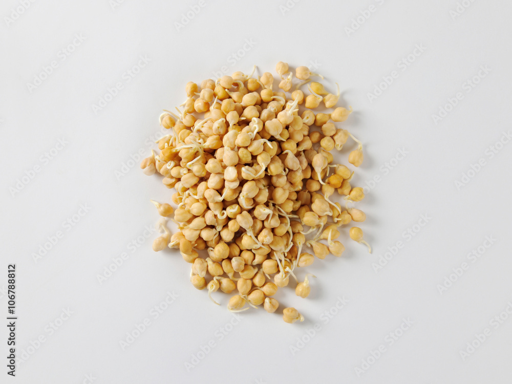 Sprouted chickpeas Sprouted chickpeas
