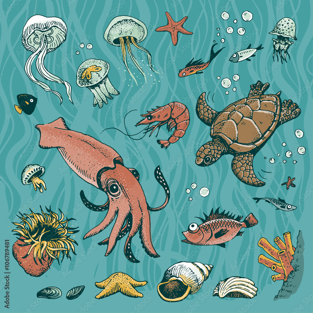 Obraz premium Underwater vector set