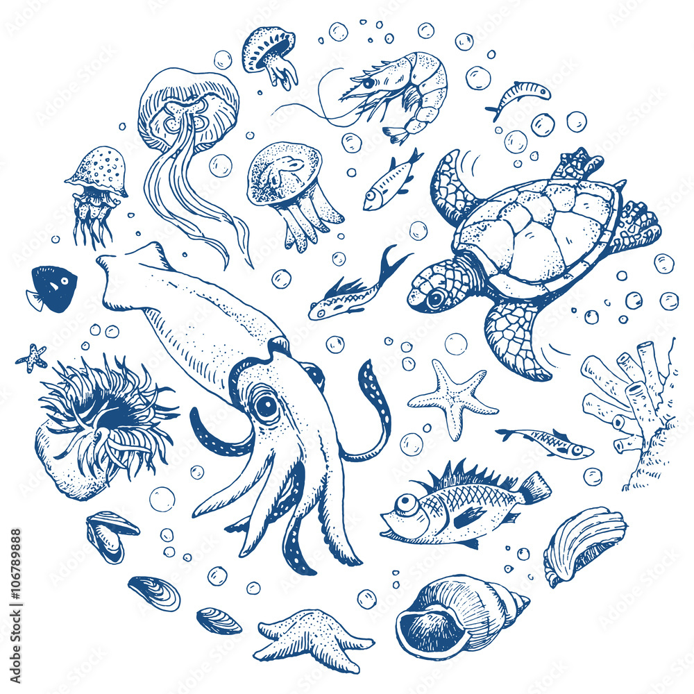 Naklejka premium Sea life hand drawn set 