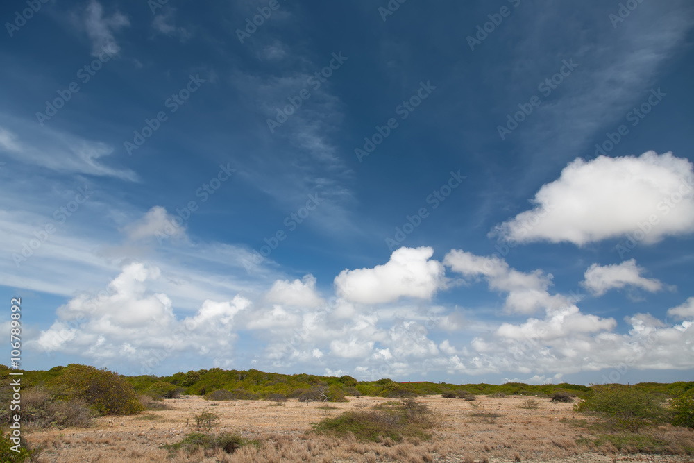 Bonaire caribbean island landscapes