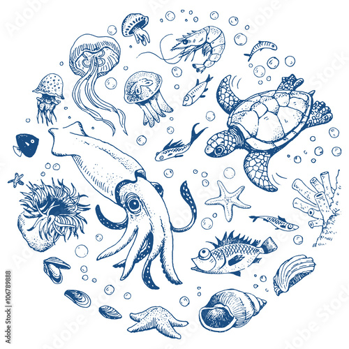 Sea life hand drawn set
