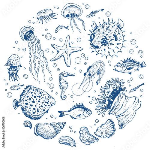 Sea life hand drawn set
