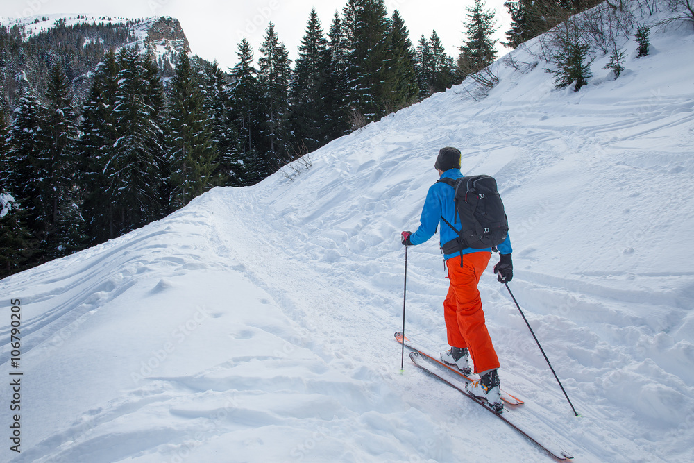 Randonnee ski trails near the forest Randonnee ski trails near the forest
