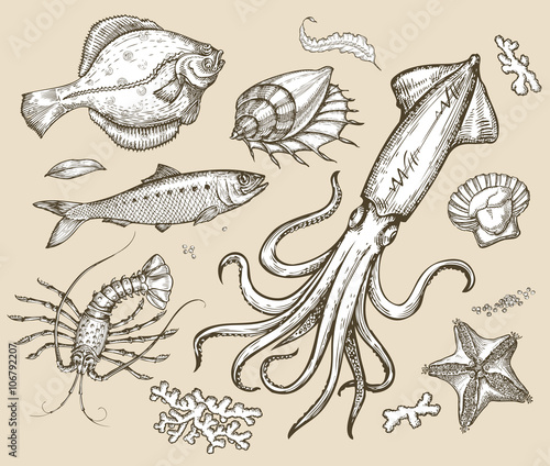 Hand drawn sketch set seafood,underwater world. Vector illustration