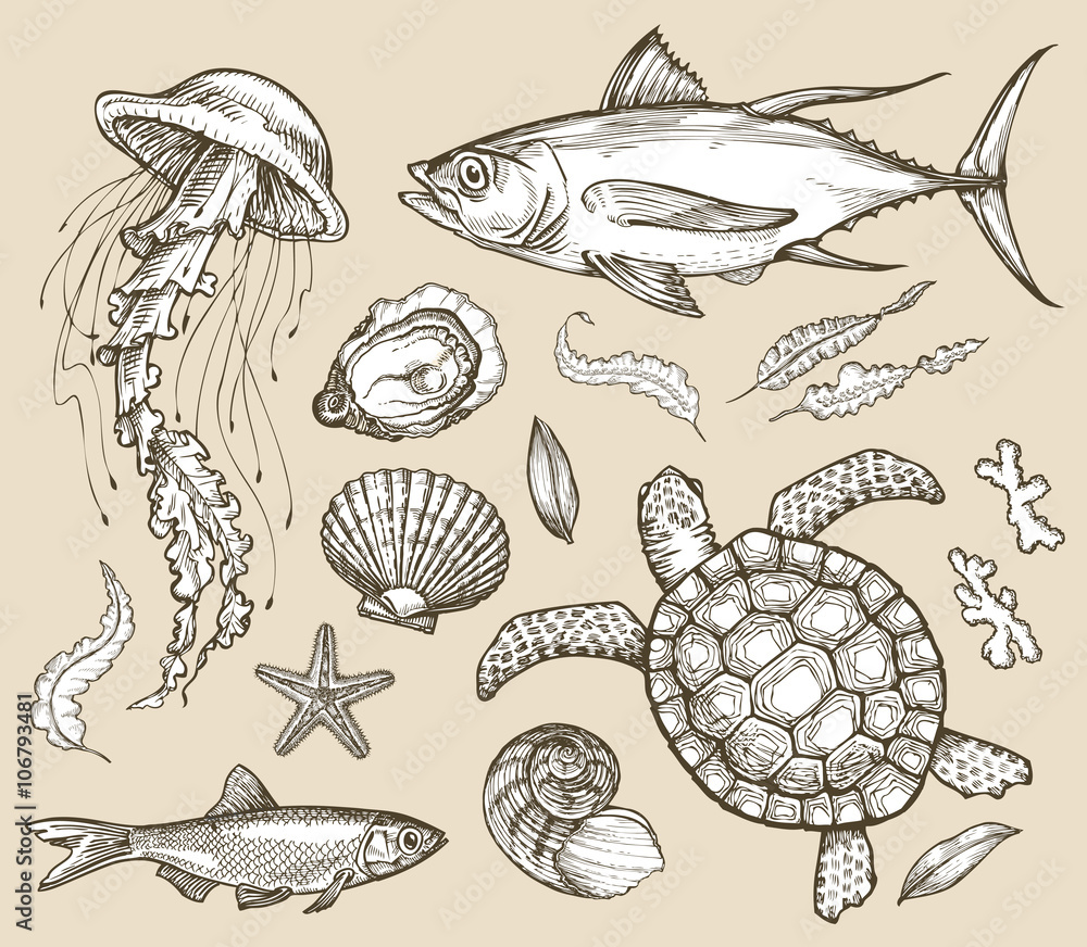 Obraz premium Hand drawn sketch set marine animals, wildlife. Vector illustration