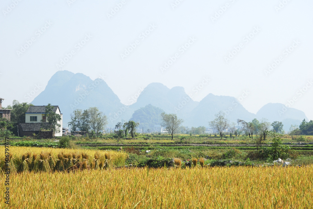 Fototapeta premium Beautiful rural scenery in autumn