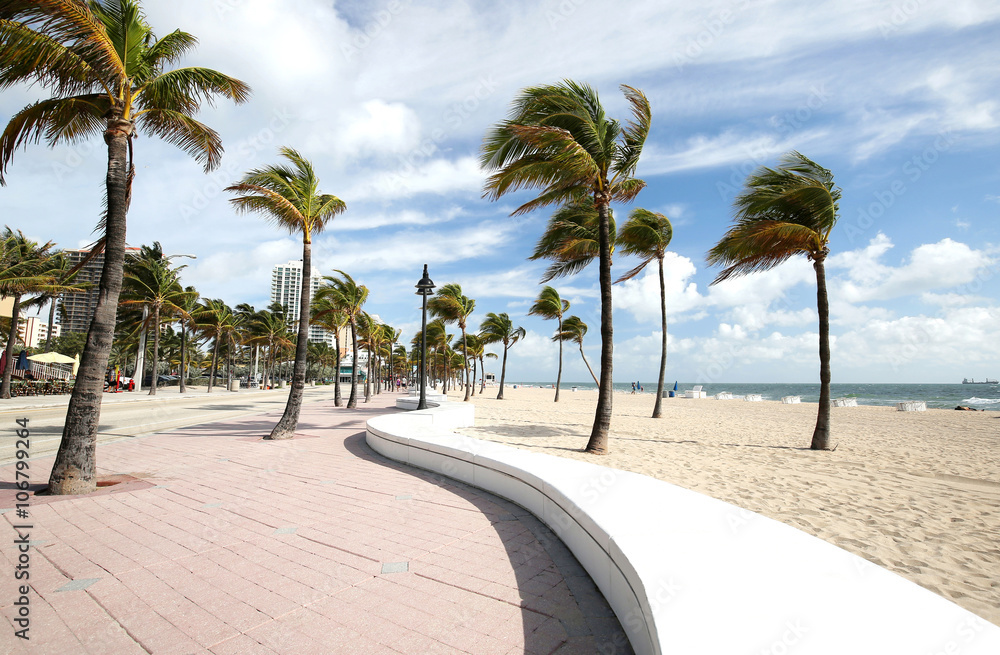 Palm trees blowing on a sunny day on Fort Lauderdale Beach, Florida, USA.
