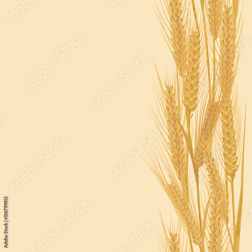 Ears of wheat vertical border seamless pattern for banners
