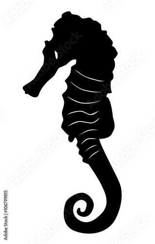 Silhouette noire d'un hippocampe sur fond blanc