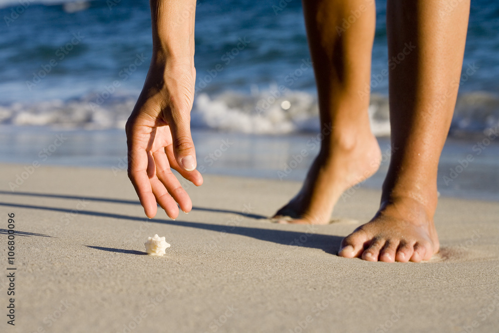 main qui ramasse un coquillage sur le sable Stock Photo | Adobe Stock
