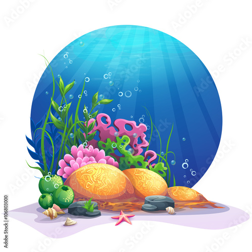 Undersea flora on the sandy bottom of the ocean