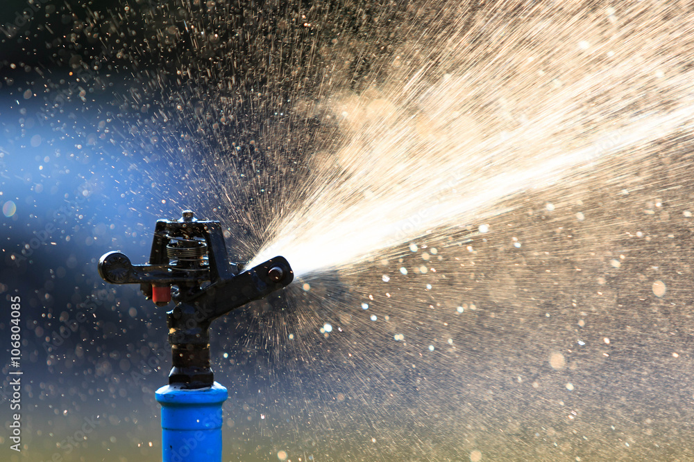 Sprinkler system for water splash - obrazy, fototapety, plakaty 