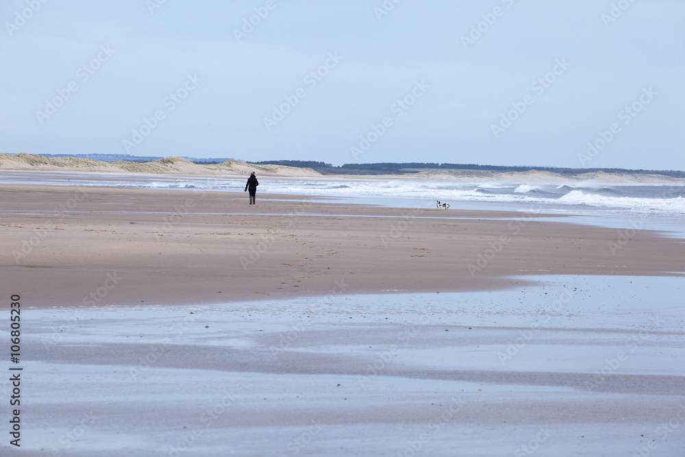 Lone woman walking dog on open beach at Druridge Bay, Northumberland, England, UK.