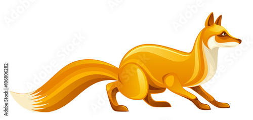 Orange fox