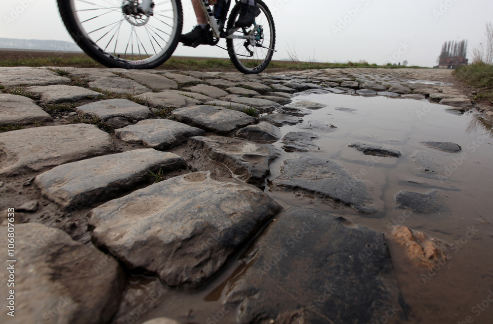 Fototapeta premium Pavés de Paris - Roubaix