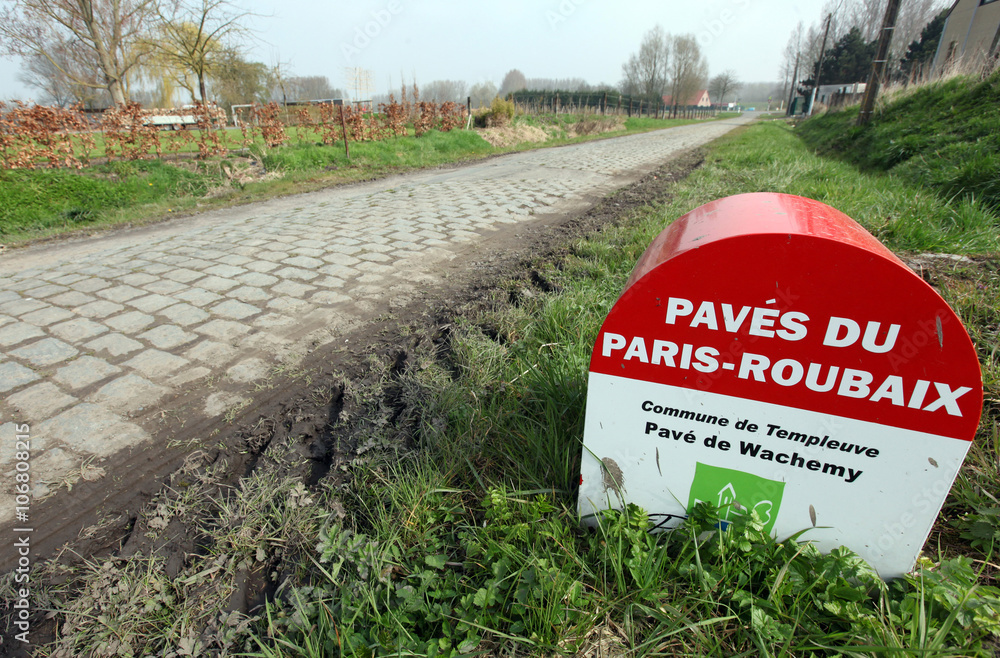 Fototapeta premium Pavés de Paris - Roubaix