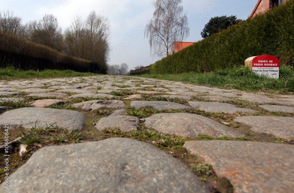 Fototapeta premium Pavés de Paris - Roubaix