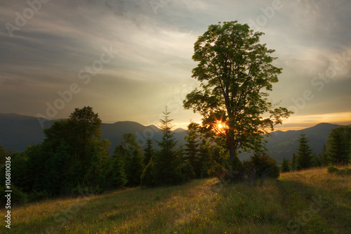 Colorful summer sunset. Carpathians, Ukraine.