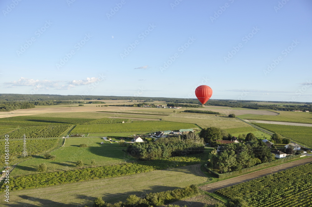 Fototapeta premium En plein vol