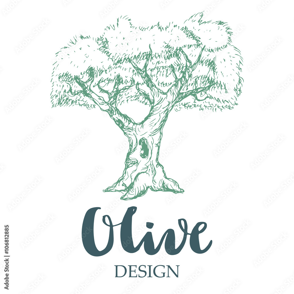 Obraz premium Olive design illustration.