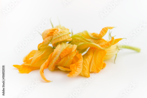 Group of pumpkin flowers isolated on white background
