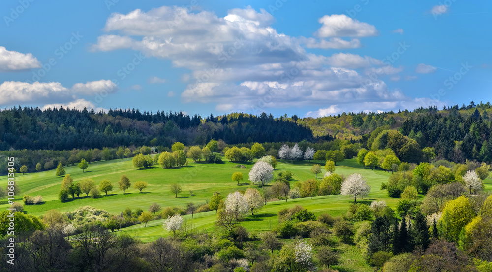 Naklejka premium Blühende Frühlingslandschaft