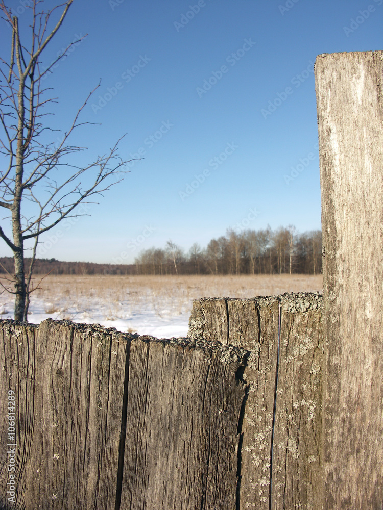 Old wooden fence from boards closeup with snow on top and winter Old wooden fence from boards closeup with snow on top and winter