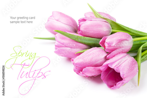 Fototapeta Naklejka Na Ścianę i Meble -  Fresh pink tulip flowers bouquet
