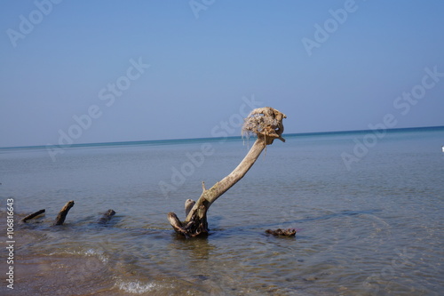 Obraz na płótnie Plaża w Stegnie w salonie