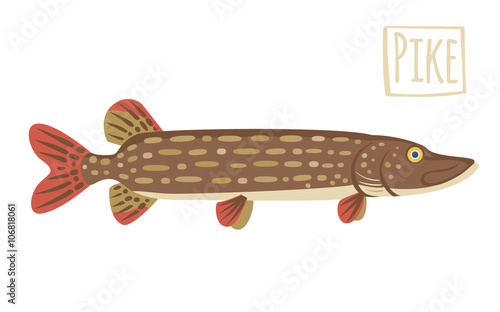 Pike, vector cartoon illustration