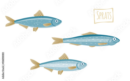 Sprats, vector cartoon illustration