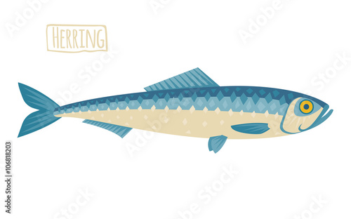 Herring illustration, flat, cartoon