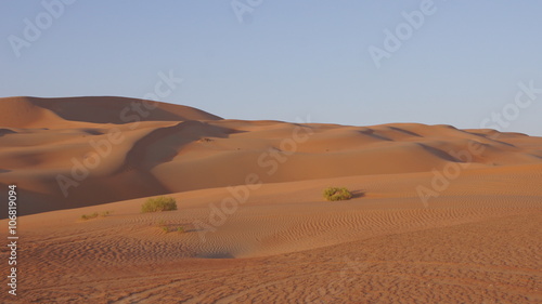 Dünen der Liwa Wüste