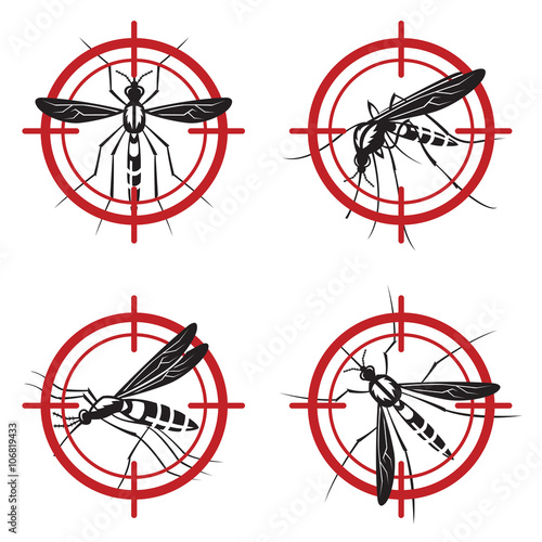 collection of four mosquito prohibited sign