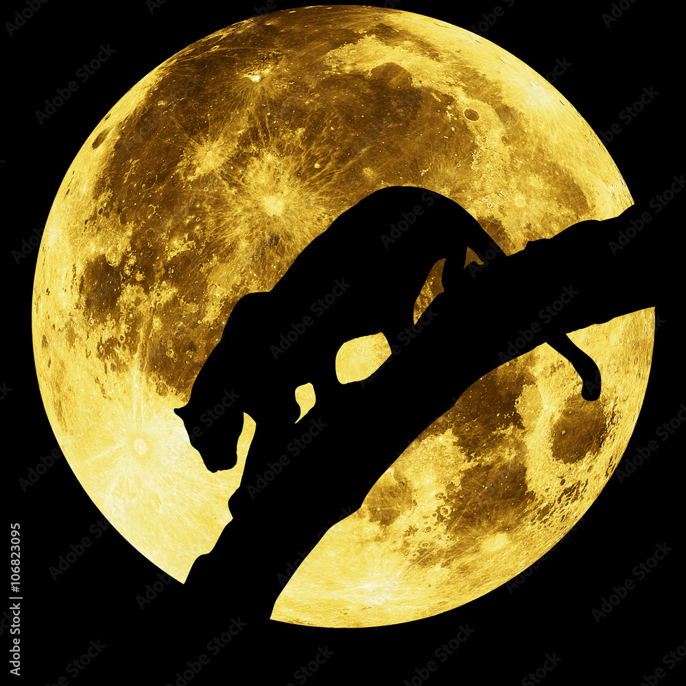 Obraz premium sylwetka pantery na tle księżyca