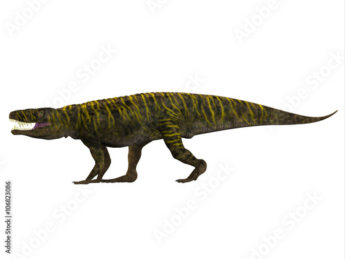 Batrachotomus Side Profile - Batrachotomus was a carnivorous archosaur predator that lived in Germany during the Triassic Period.